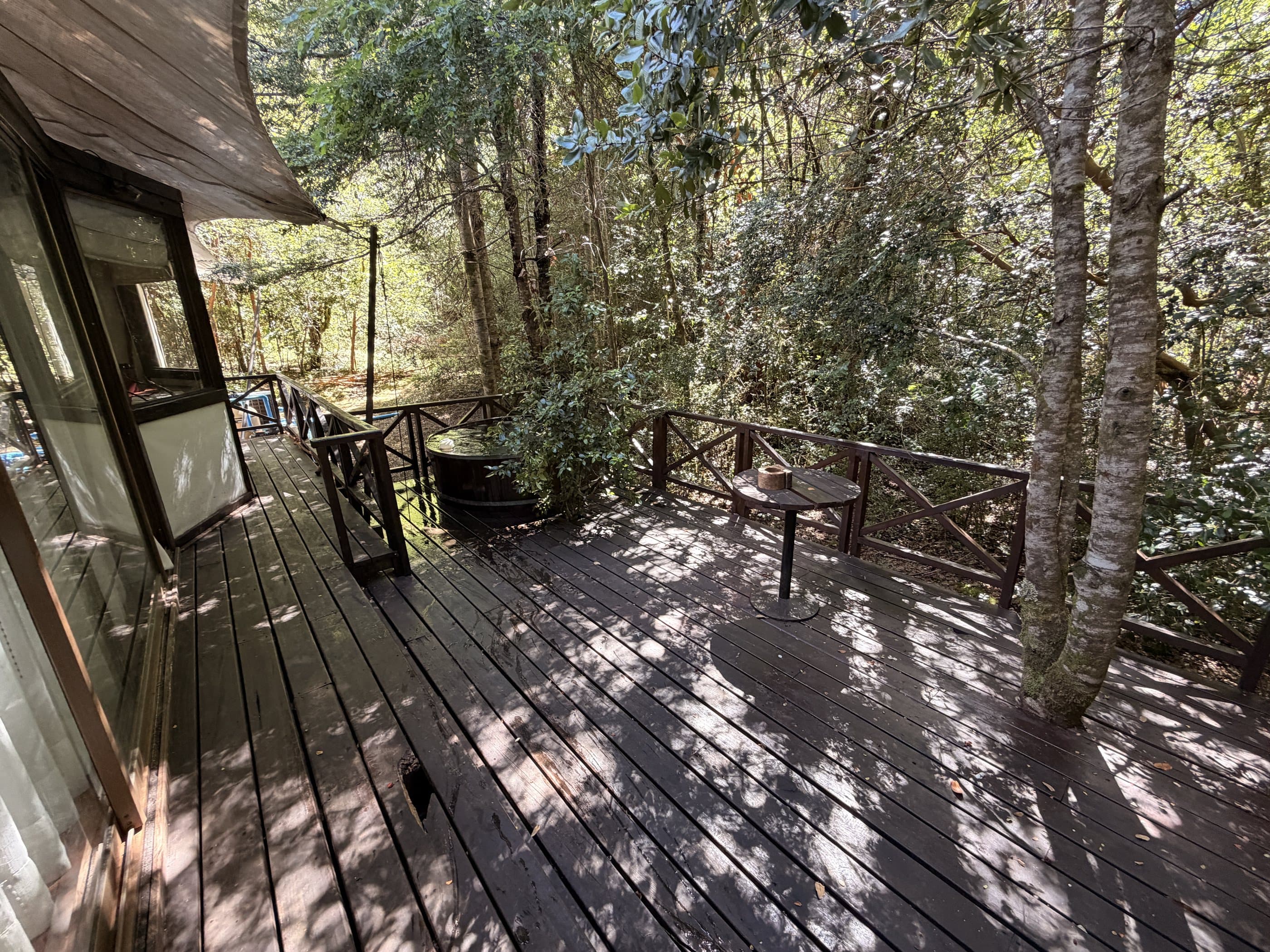 Terraza de madera de una cabaña, con la luz filtrándose entre los árboles del bosque nativo
